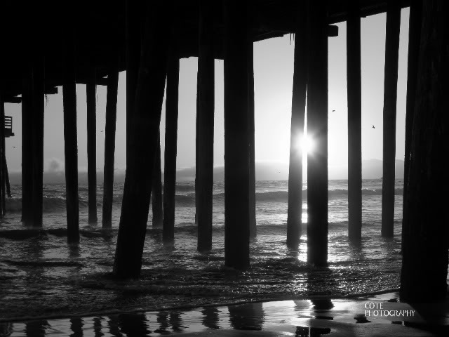 Name:  PismoFinal8.jpg
Views: 57
Size:  52.6 KB