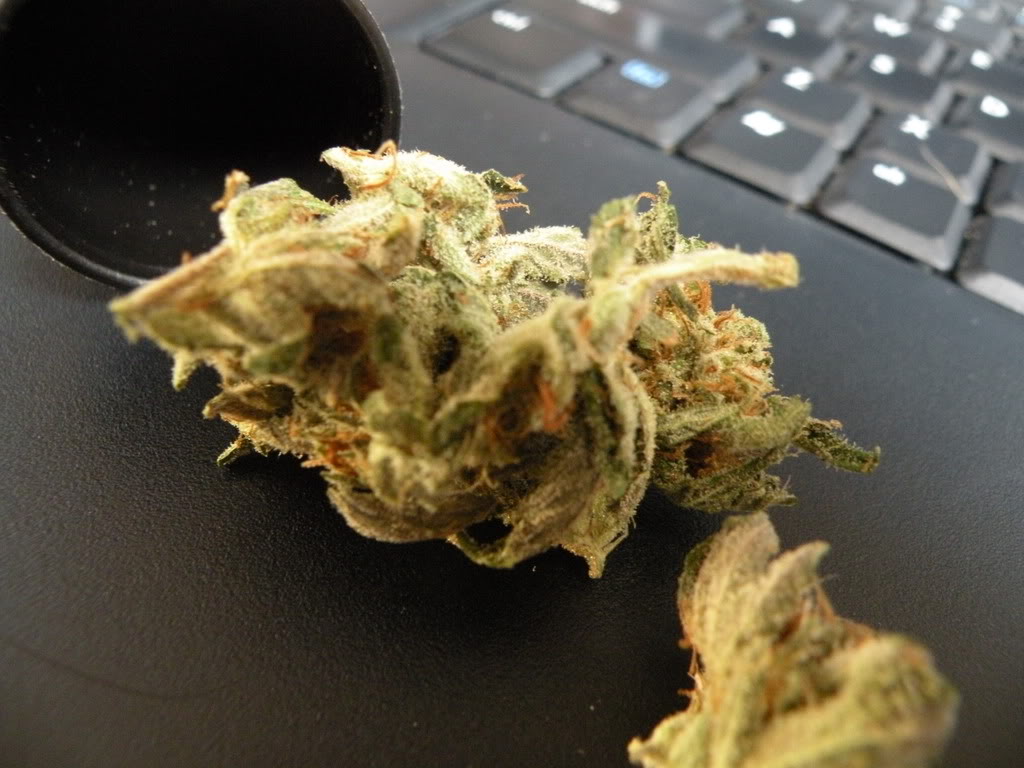 Name:  DSCN1014.jpg
Views: 80
Size:  111.9 KB