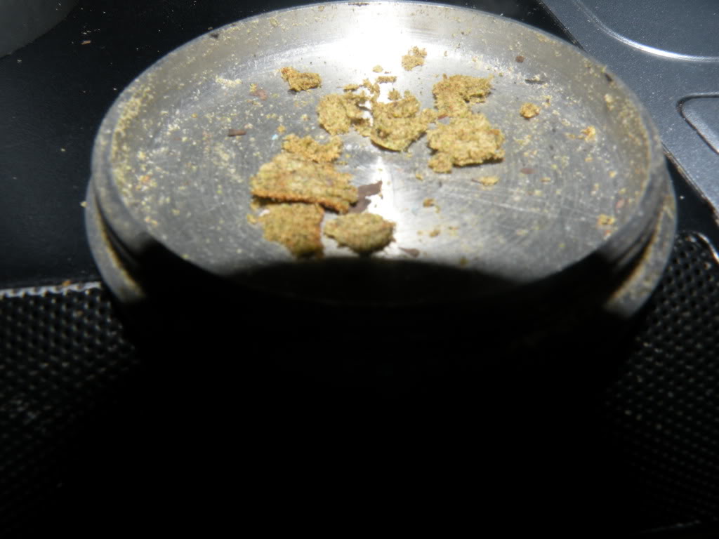 Name:  DSCN0996.jpg
Views: 71
Size:  73.7 KB