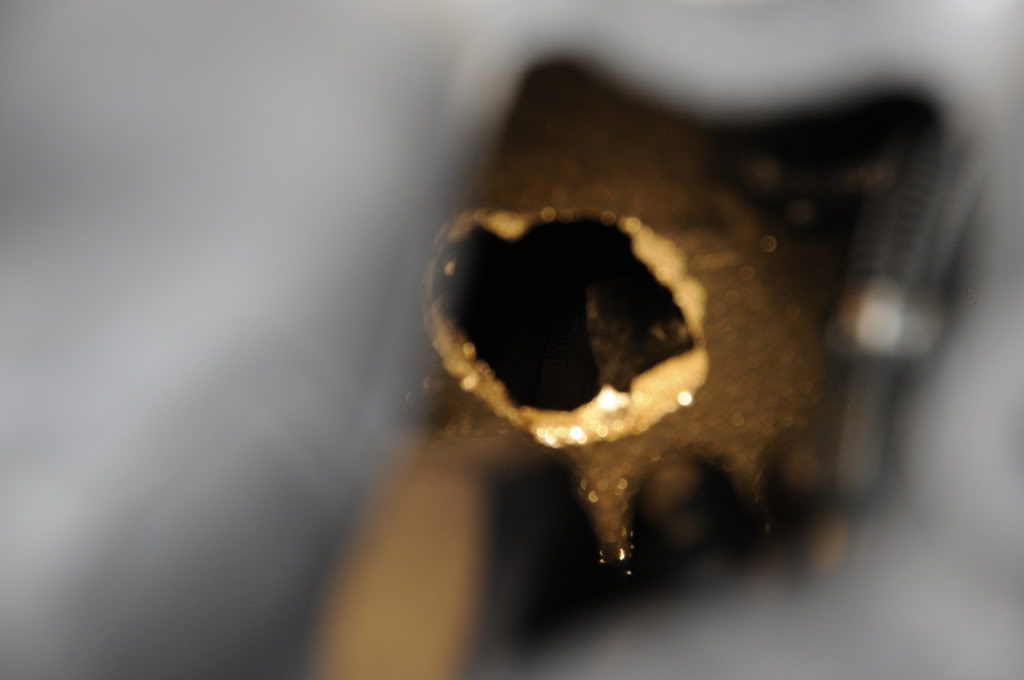 Name:  _DSC3527.jpg
Views: 19
Size:  69.6 KB