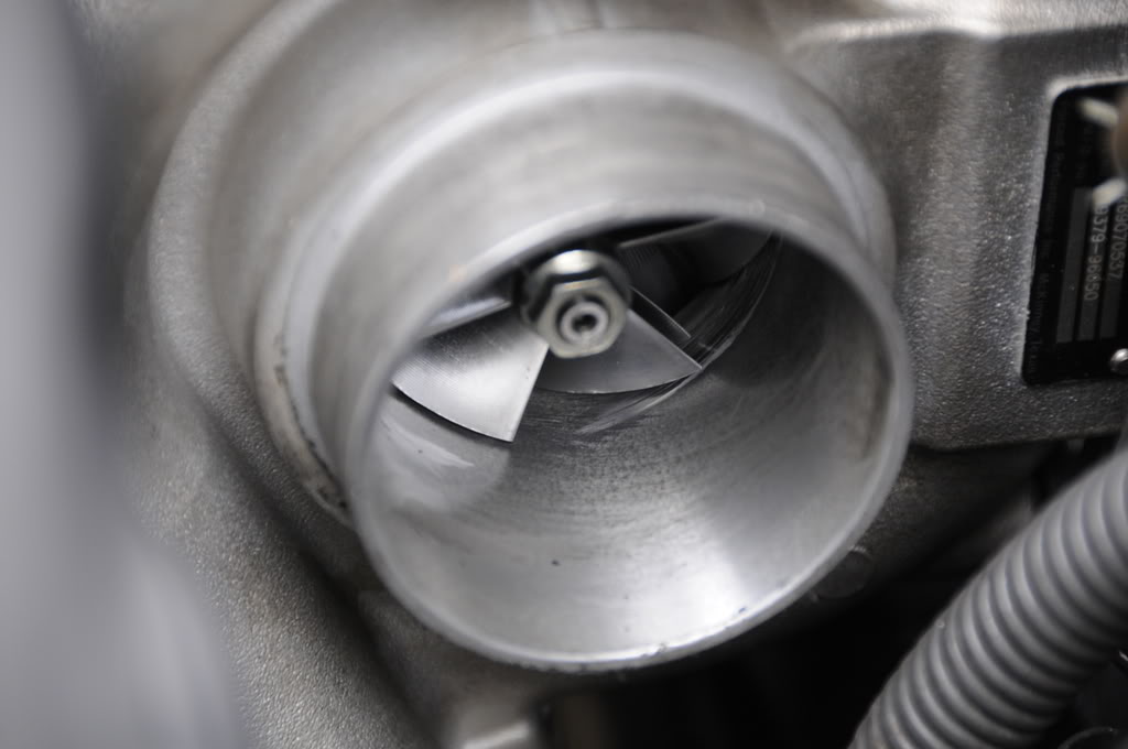 Name:  _DSC3506-1.jpg
Views: 21
Size:  93.2 KB