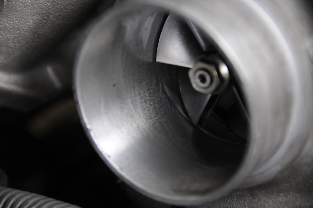 Name:  _DSC3508-1.jpg
Views: 18
Size:  79.4 KB