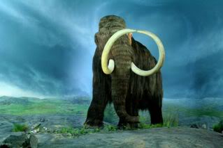 Name:  Wooly_Mammoth-RBC.jpg
Views: 38
Size:  11.4 KB