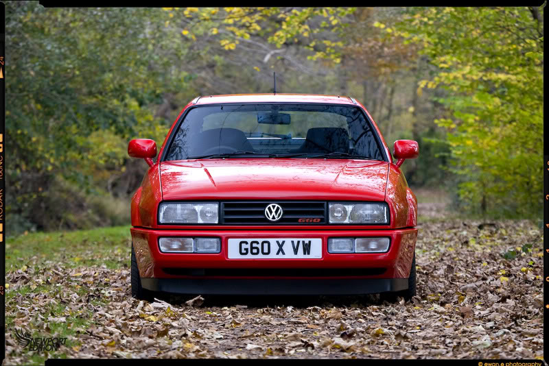 Name:  IMG_2730_800.jpg
Views: 64
Size:  128.1 KB