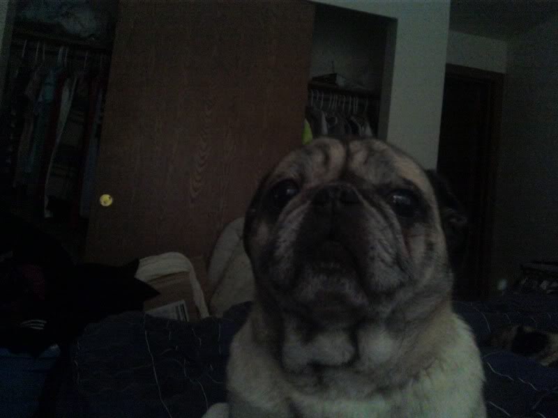 Name:  12070813502.jpg
Views: 28
Size:  39.2 KB