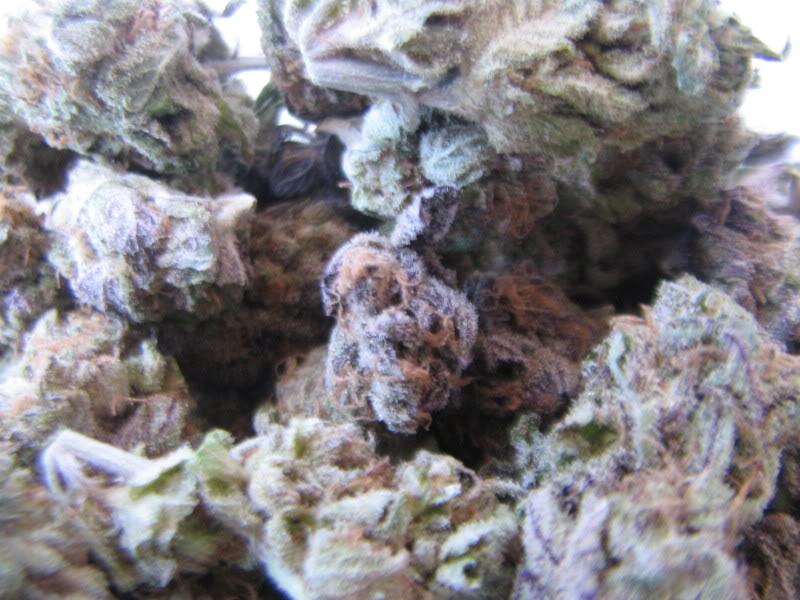 Name:  IMG_0015.jpg
Views: 22
Size:  89.5 KB