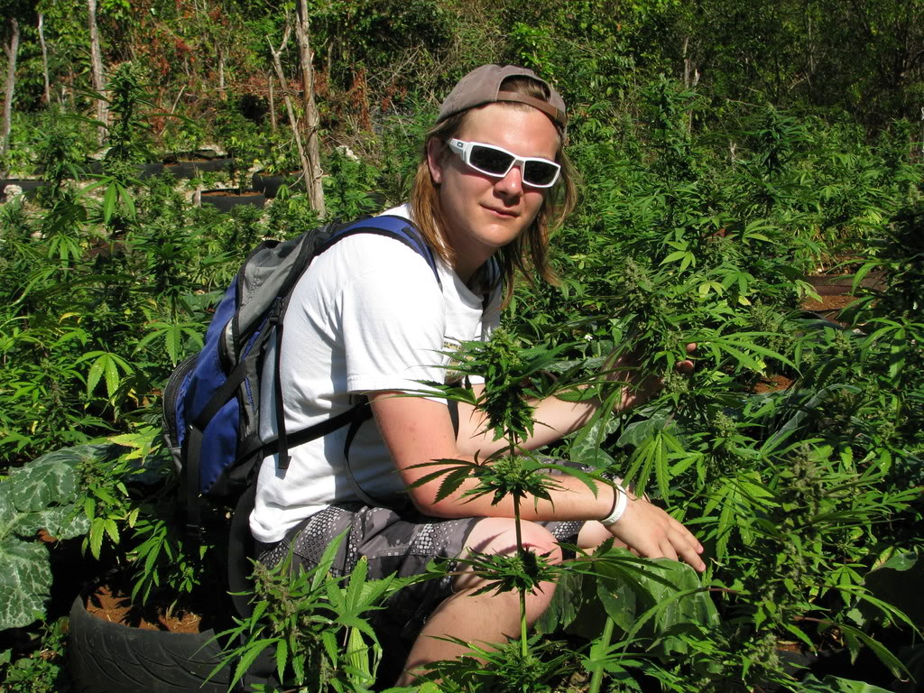 Name:  IMG_0353.jpg
Views: 21
Size:  287.9 KB