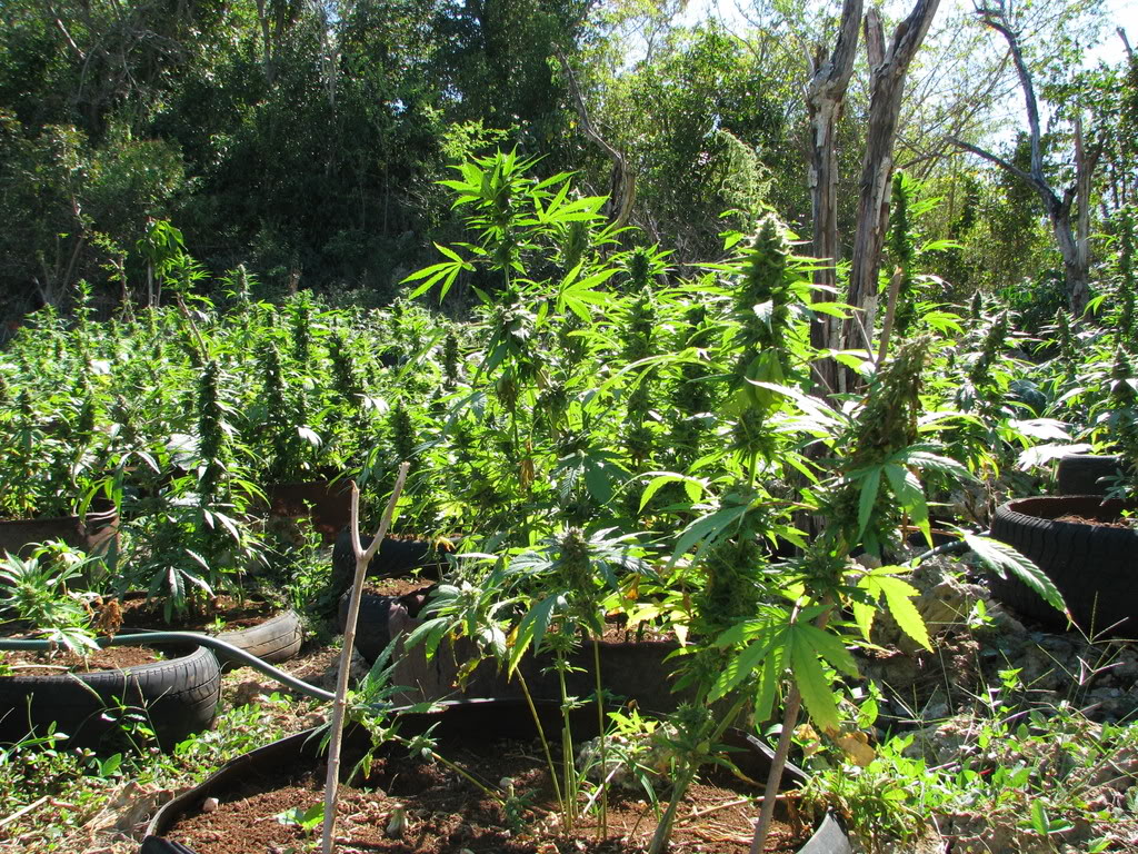 Name:  IMG_0340.jpg
Views: 21
Size:  361.9 KB