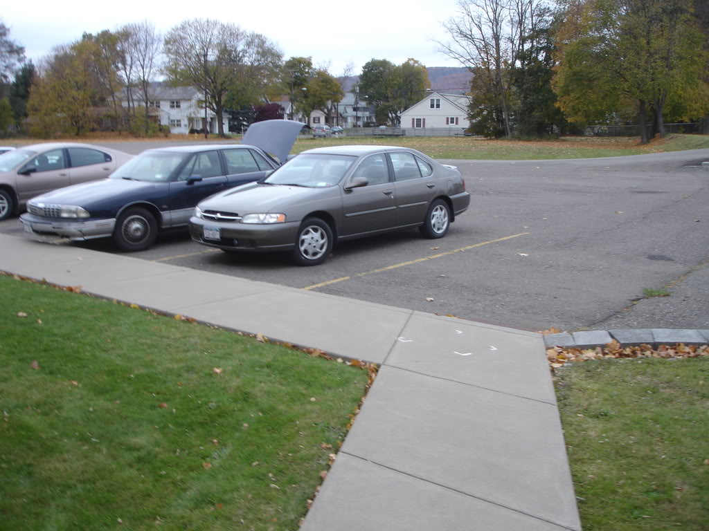 Name:  DSC03350.jpg
Views: 58
Size:  131.6 KB