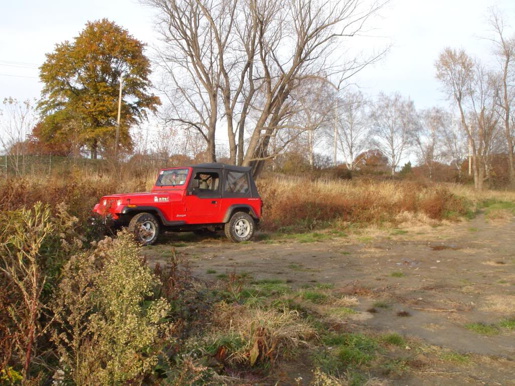 Name:  DSC03370.jpg
Views: 71
Size:  177.2 KB