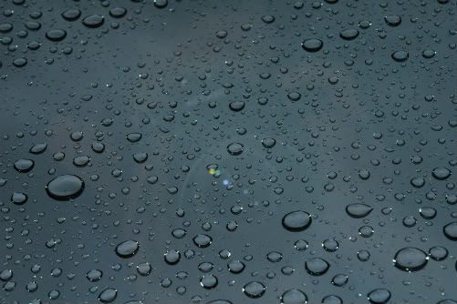 Name:  FREESHOOTII015.jpg
Views: 23
Size:  43.8 KB