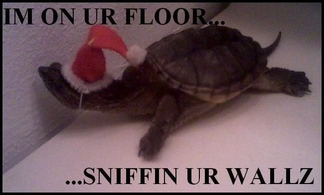 Name:  snaps1kg1.jpg
Views: 23
Size:  39.9 KB