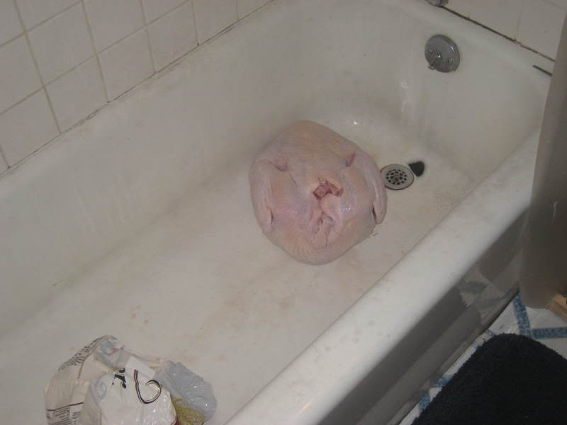 Name:  IMG_0183.jpg
Views: 66
Size:  25.4 KB