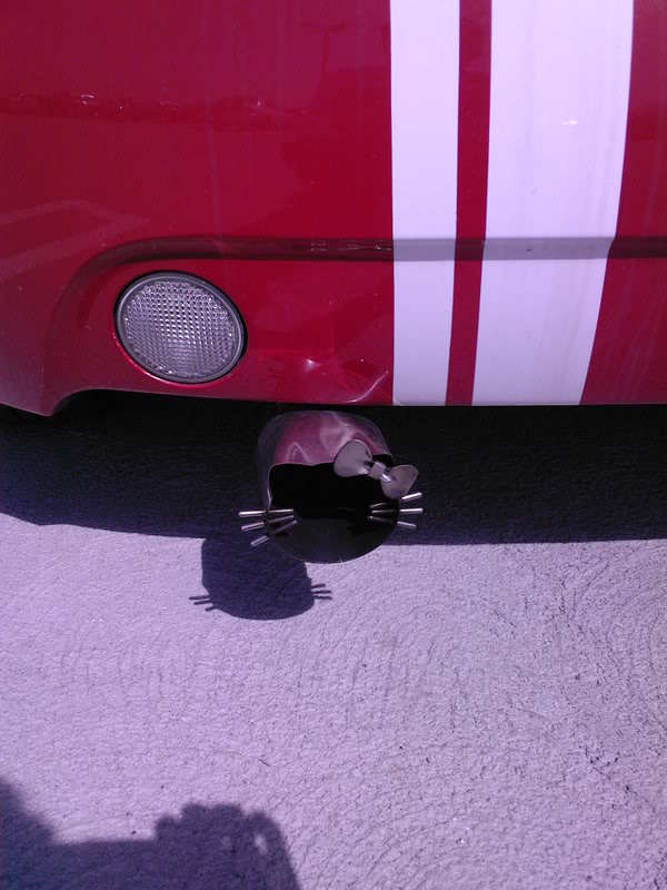 Name:  Photo-0007.jpg
Views: 27
Size:  70.7 KB