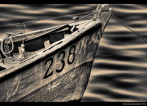 Name:  2260013297_e1c1ec7173.jpg
Views: 60
Size:  69.0 KB