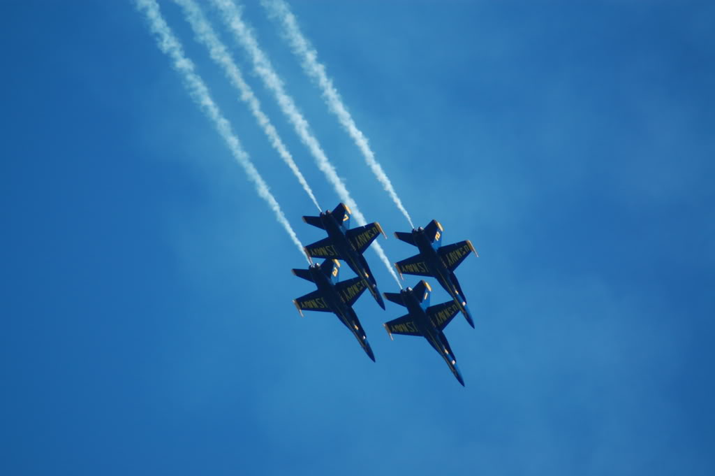 Name:  DSC_0317.jpg
Views: 15
Size:  57.5 KB