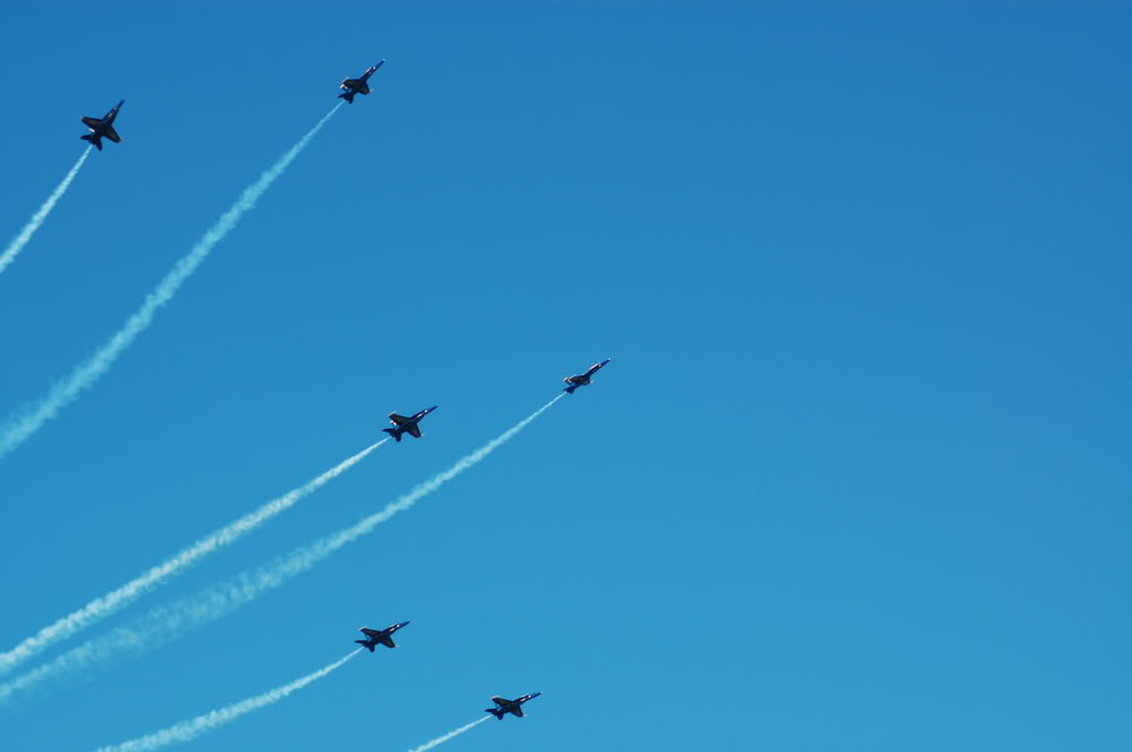 Name:  DSC_0291.jpg
Views: 15
Size:  44.9 KB