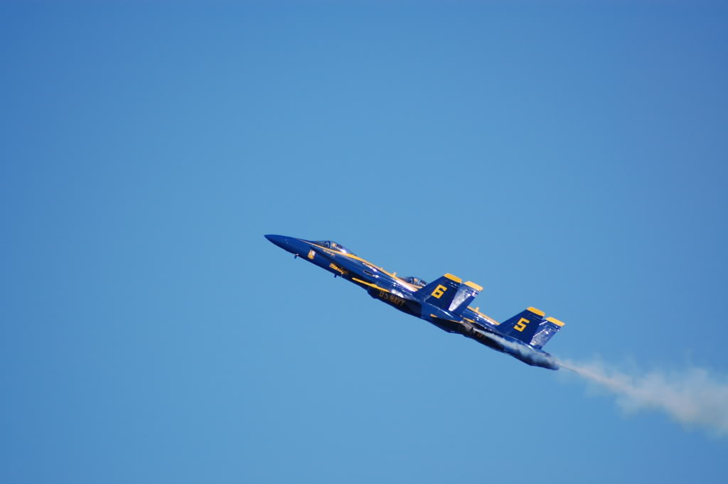 Name:  DSC_0258.jpg
Views: 15
Size:  45.5 KB