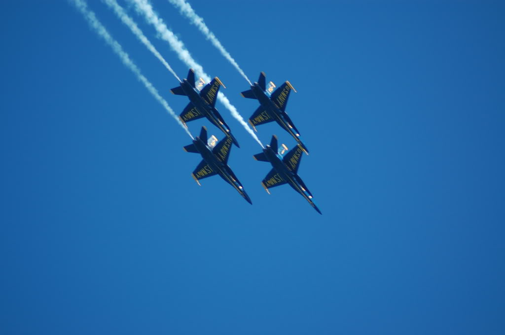 Name:  DSC_0313.jpg
Views: 18
Size:  53.9 KB