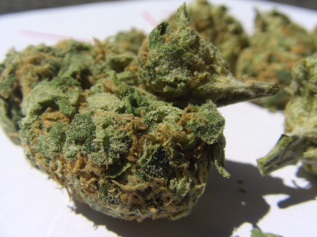 Name:  NewAudia4063.jpg
Views: 23
Size:  130.6 KB