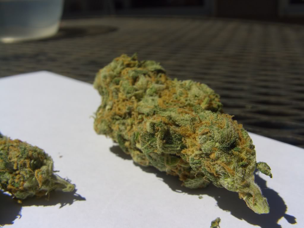 Name:  NewAudia4064.jpg
Views: 22
Size:  96.7 KB