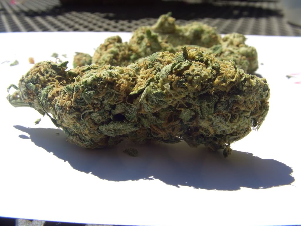 Name:  NewAudia4062.jpg
Views: 22
Size:  126.5 KB