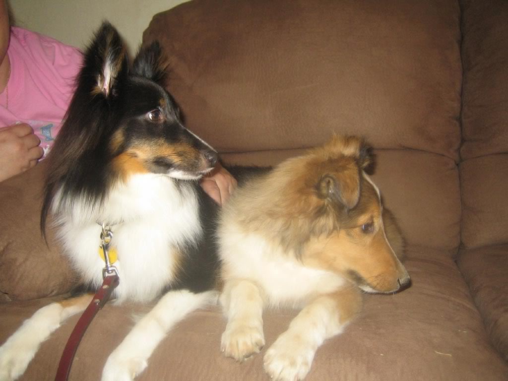 Name:  WhiskieandKahlua.jpg
Views: 32
Size:  80.2 KB