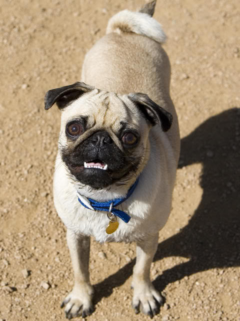 Name:  highres_1112719.jpg
Views: 25
Size:  47.9 KB