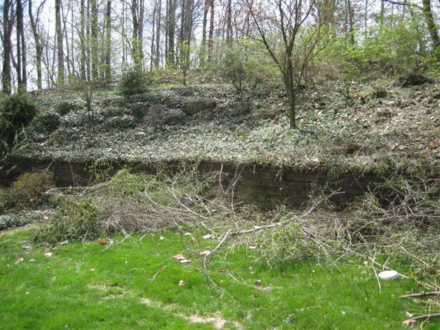 Name:  backyard003Small.jpg
Views: 23
Size:  91.3 KB