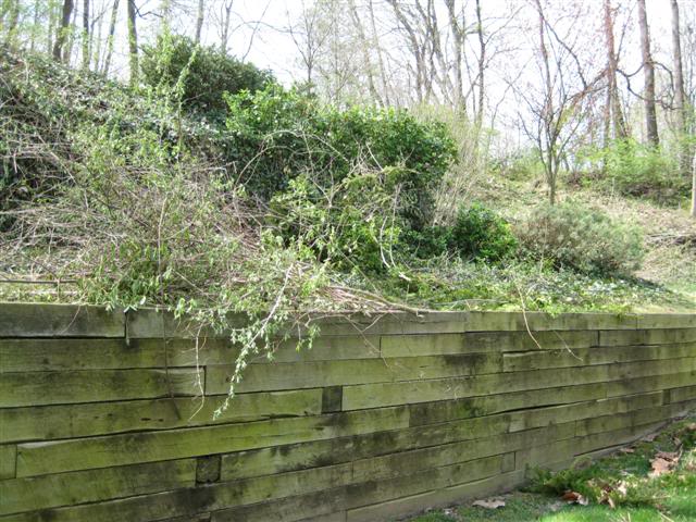 Name:  backyard006Small.jpg
Views: 30
Size:  79.6 KB