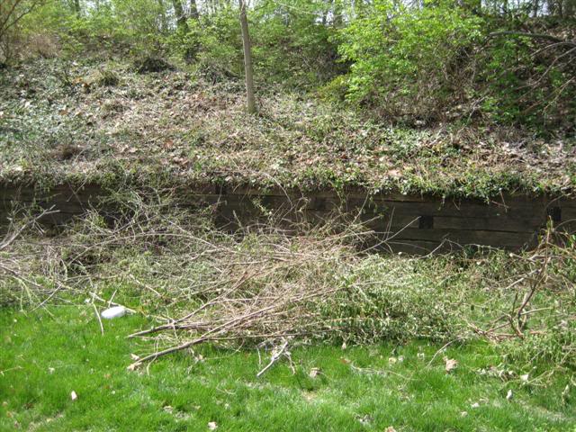 Name:  backyard002Small.jpg
Views: 21
Size:  95.9 KB