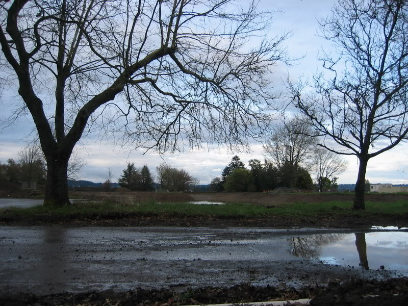 Name:  IMG_3181.jpg
Views: 24
Size:  152.4 KB