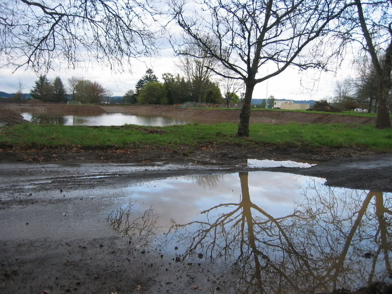 Name:  IMG_3182.jpg
Views: 26
Size:  148.3 KB