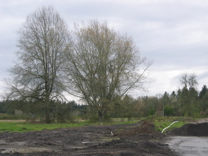 Name:  IMG_3183.jpg
Views: 29
Size:  106.6 KB