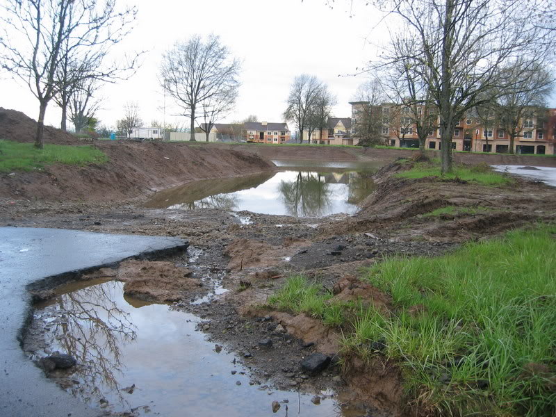 Name:  IMG_3185.jpg
Views: 26
Size:  138.7 KB