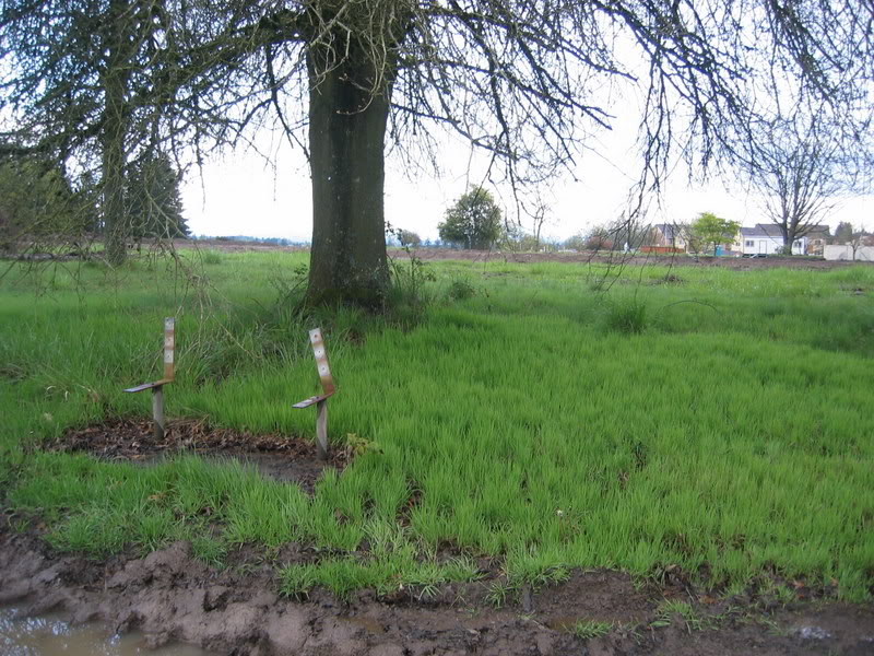 Name:  IMG_3188.jpg
Views: 27
Size:  152.2 KB