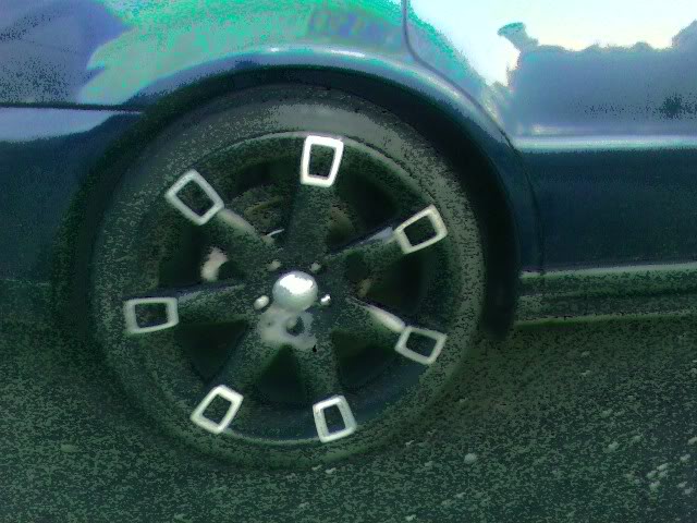 Name:  SSPX0572.jpg
Views: 20
Size:  66.0 KB