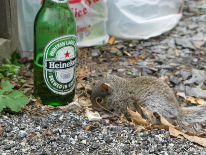 Name:  IMG_0892.jpg
Views: 49
Size:  85.8 KB