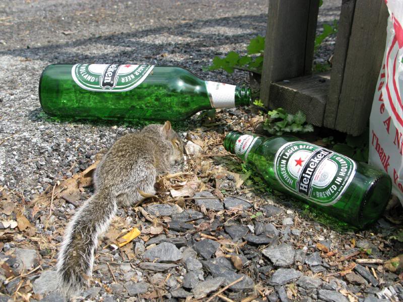 Name:  IMG_0894.jpg
Views: 62
Size:  124.6 KB