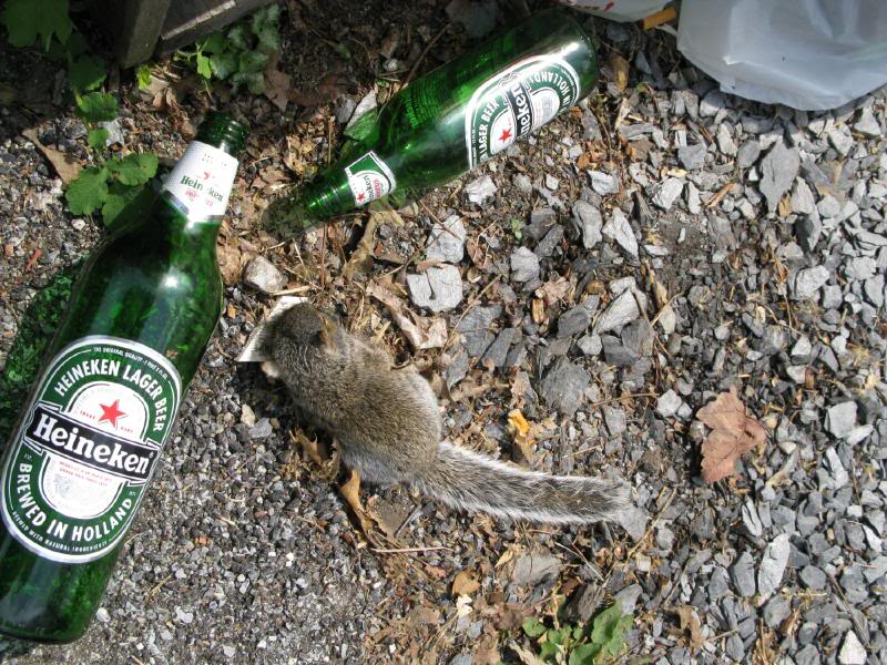 Name:  IMG_0895.jpg
Views: 79
Size:  145.1 KB