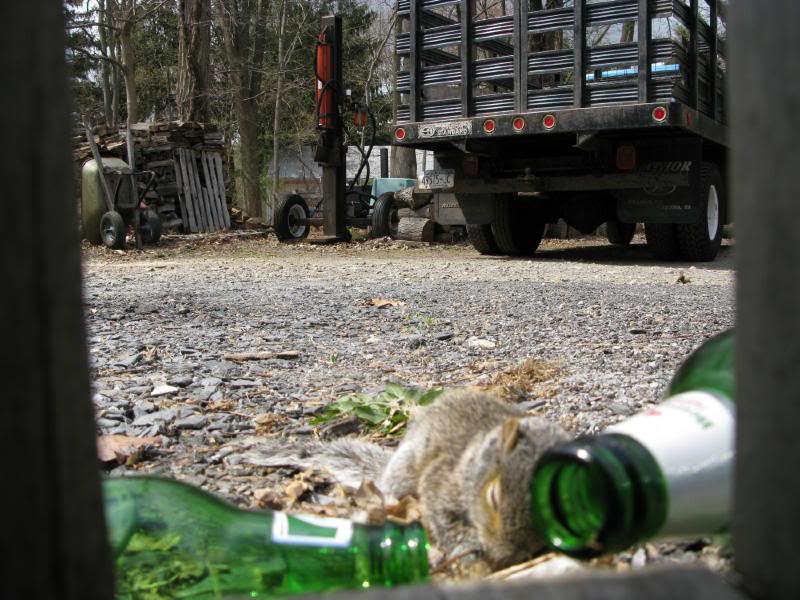 Name:  IMG_0897.jpg
Views: 45
Size:  93.2 KB