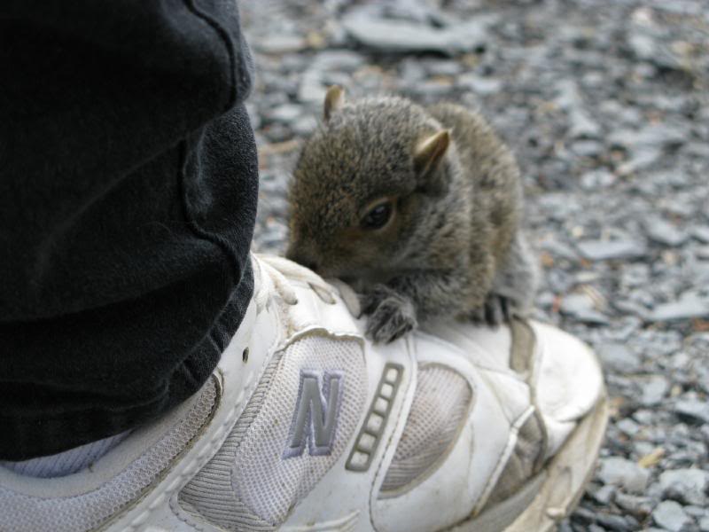 Name:  IMG_0900.jpg
Views: 79
Size:  56.5 KB