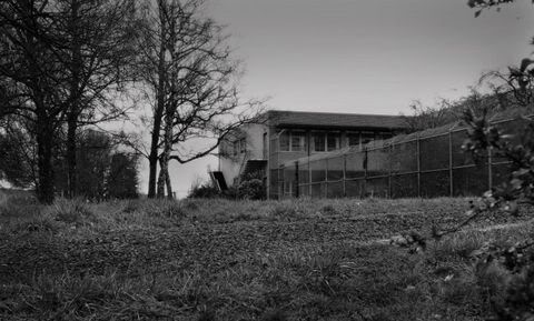 Name:  FOMF_Dammasch.jpg
Views: 208
Size:  32.0 KB