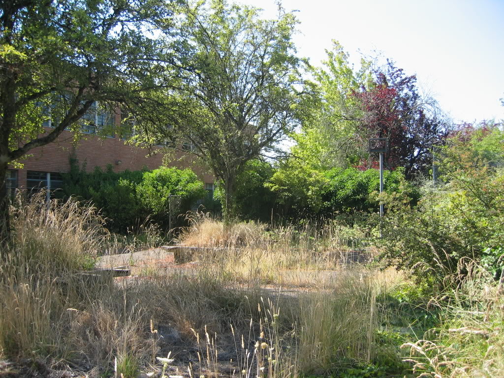 Name:  IMG_1800.jpg
Views: 170
Size:  312.6 KB