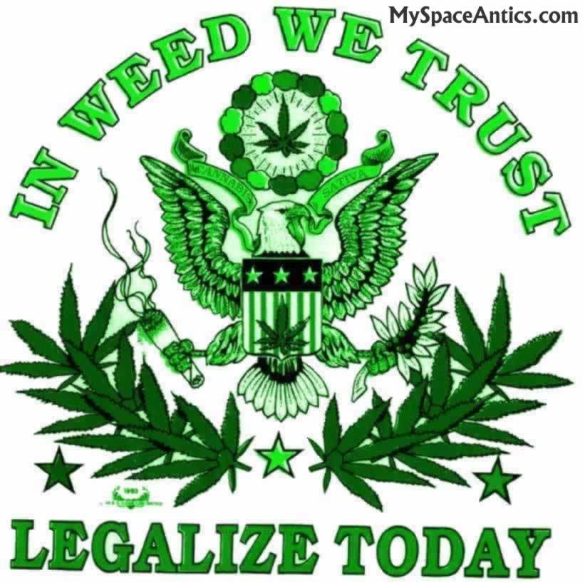 Name:  weed-we-trust.jpg
Views: 23
Size:  83.3 KB