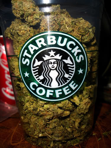 Name:  starbucks-weed.jpg
Views: 20
Size:  68.4 KB
