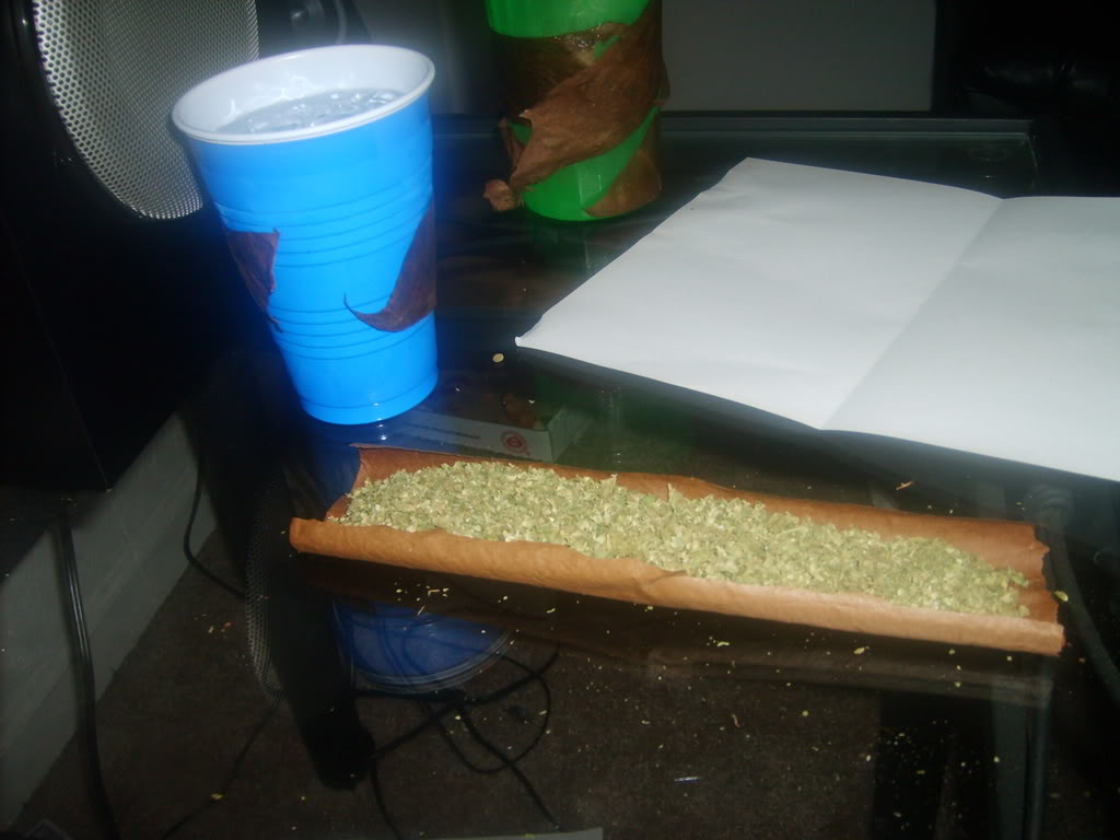 Name:  S5000243.jpg
Views: 160
Size:  113.6 KB