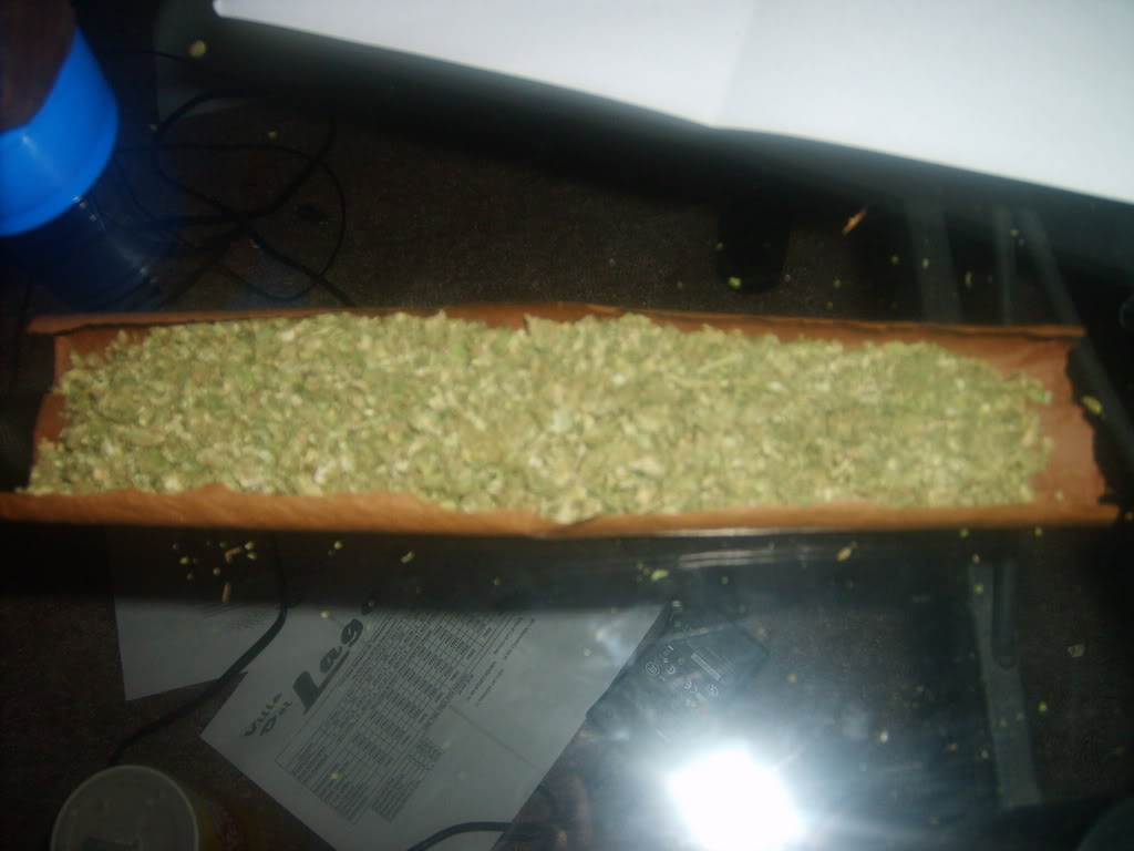 Name:  S5000242.jpg
Views: 366
Size:  100.7 KB