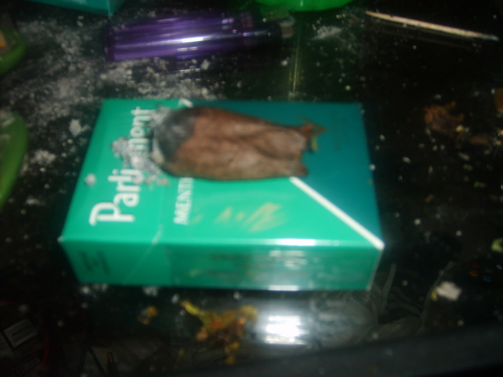 Name:  S5000268.jpg
Views: 123
Size:  97.1 KB