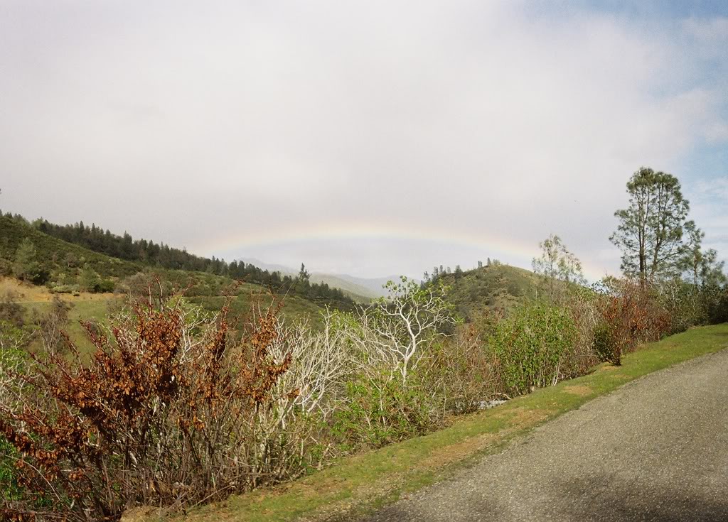 Name:  disp9.jpg
Views: 23
Size:  180.1 KB